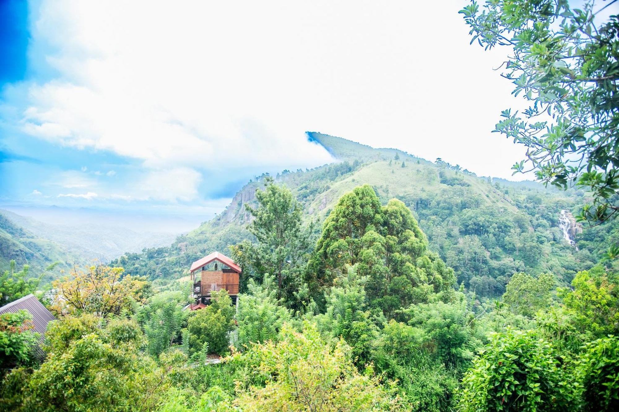 Minthu Homestay Ella Rom bilde
